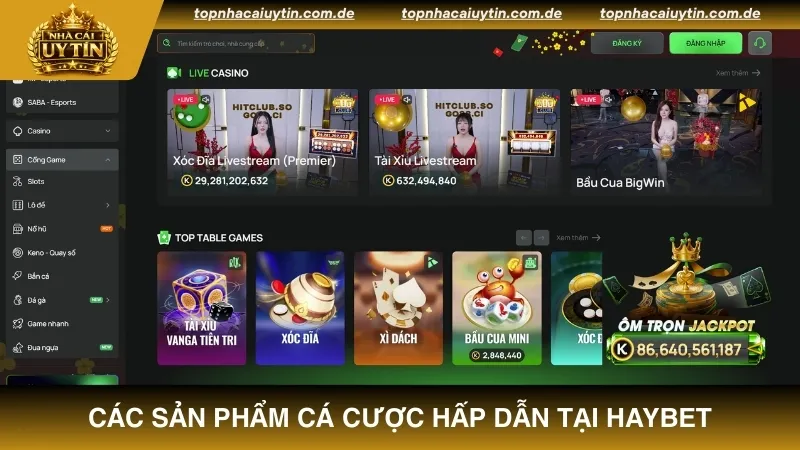 Điểm qua các sản phẩm cá cược hấp dẫn tại nhà cái HAYBET