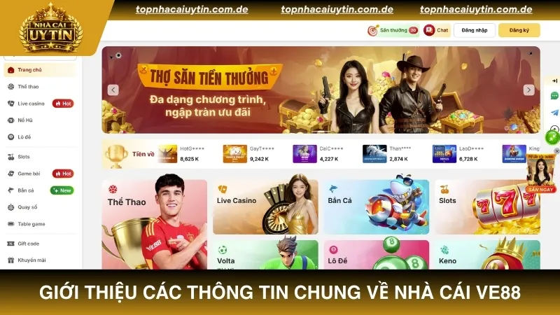 Giới thiệu các thông tin chung về nhà cái VE88