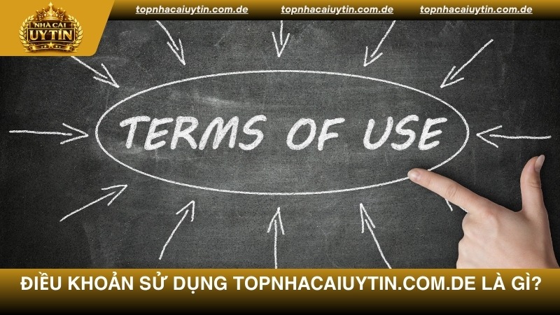 Điều khoản sử dụng Topnhacaiuytin.com.de là gì?
