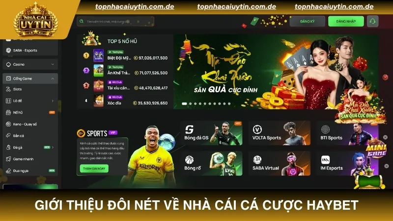 Giới thiệu đôi nét về nhà cái cá cược HAYBET
