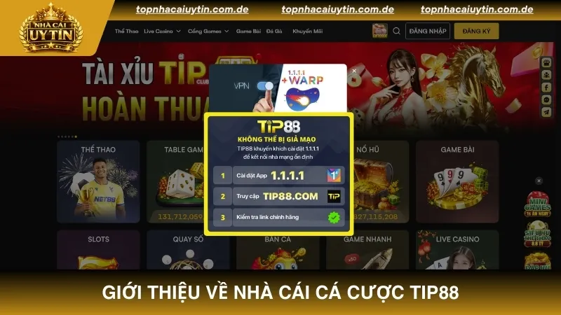 Giới thiệu chung về nhà cái cá cược TIP88