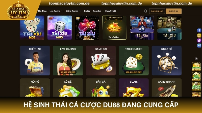 Khám phá hệ sinh thái cá cược DU88 đang cung cấp cho bet thủ