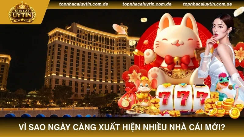 Lý do vì sao ngày càng xuất hiện nhiều nhà cái mới?