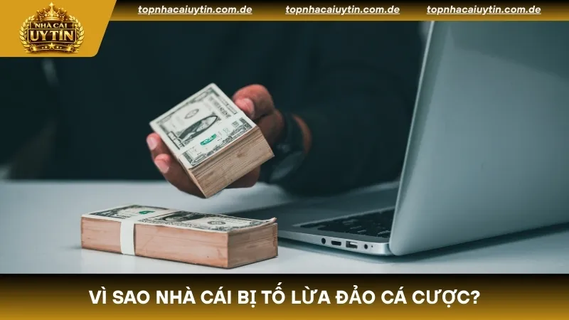 Những lý do vì sao nhà cái bị tố lừa đảo cá cược?