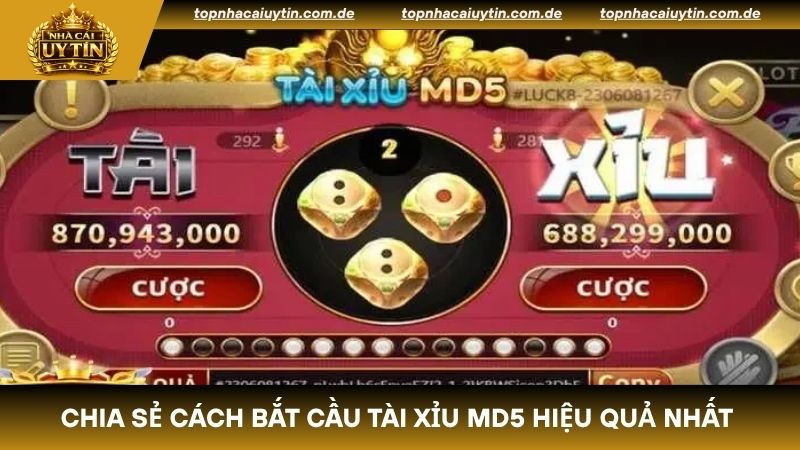 Chia sẻ cách bắt cầu tài xỉu MD5 hiệu quả nhất