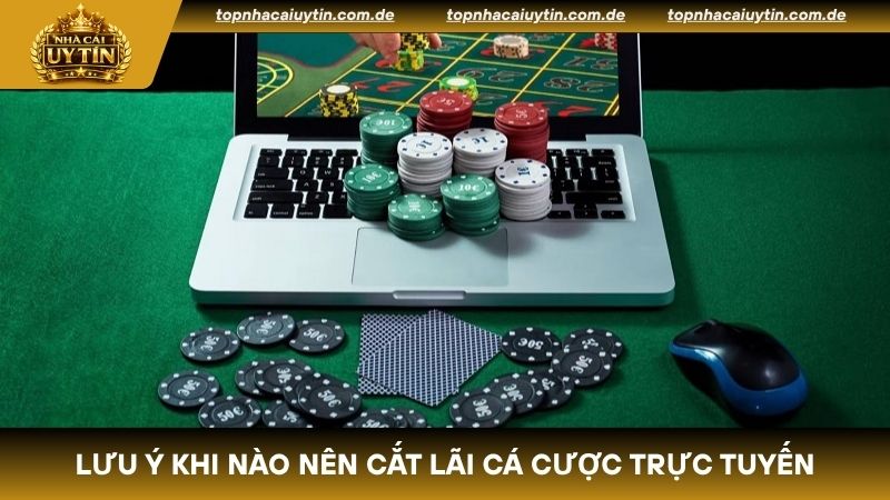 Lưu ý khi cắt lãi cá cược trực tuyến